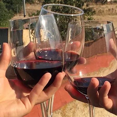 Castillo De De Luis Zueco *