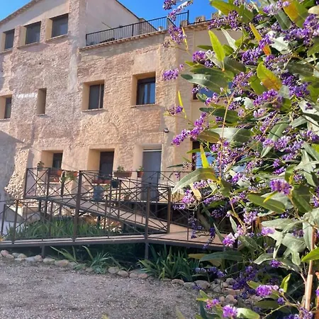 Castillo De De Luis Zueco