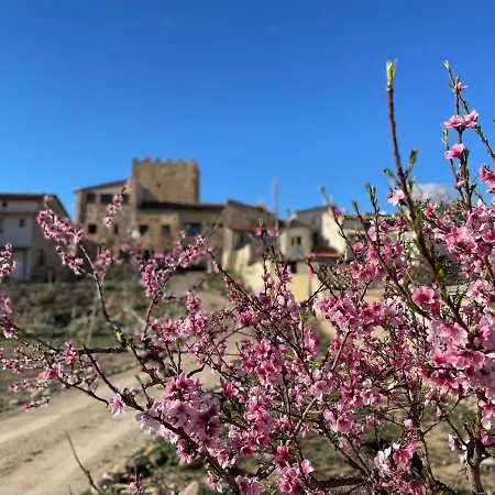 Castillo De De Luis Zueco Bulbuente