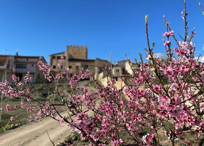 Castillo De De Luis Zueco Bulbuente